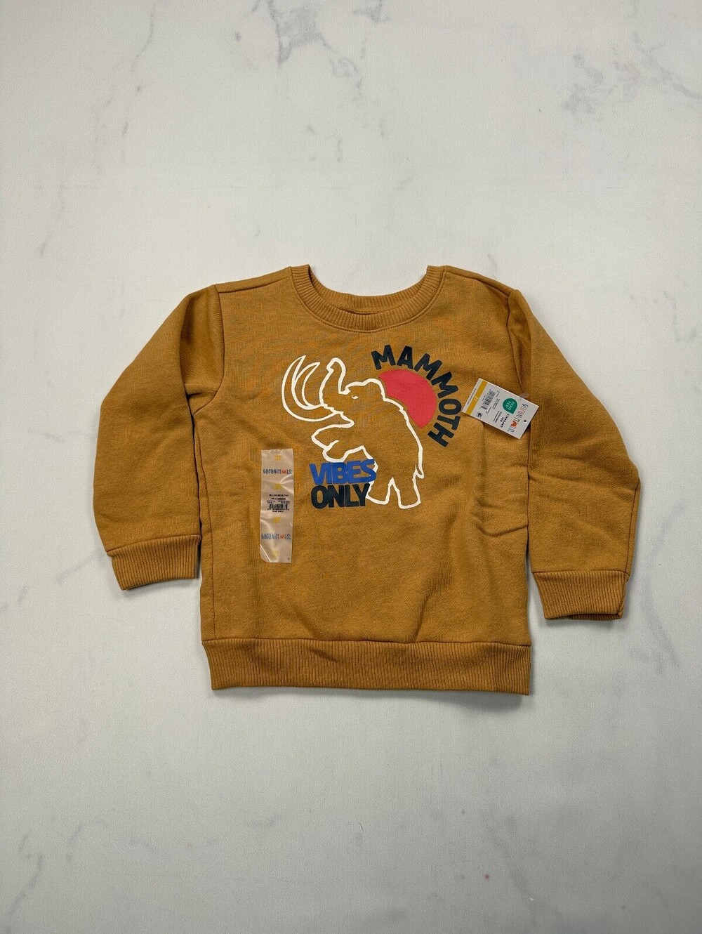 Garanimals Mammoth Sweatshirt Mustard 90s Graphic - Boys 2T